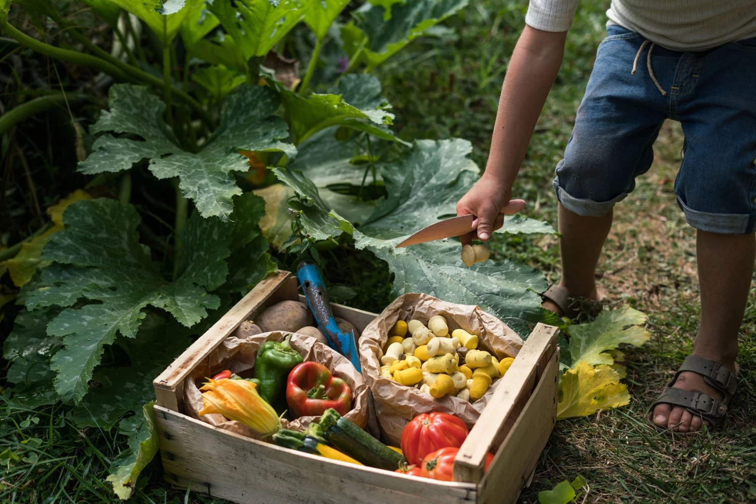 Grapat Mandala Tulip Hout 36-delig 22-240 2 Grapat Mandala Tulip Hout 36-delig 22-240 - Afbeelding 2