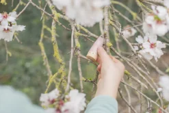 Grapat Sticks Houten Kabouters 18-delig 18-178 14 Grapat Sticks Houten Kabouters 18-delig 18-178 -Speelgoed Winkel image 2533