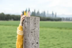 Grapat Sticks Houten Kabouters 18-delig 18-178 15 Grapat Sticks Houten Kabouters 18-delig 18-178 -Speelgoed Winkel image 2534