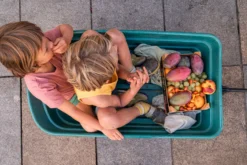 Grapat Mandala Pompoenen 23-252 -Speelgoed Winkel image 2588