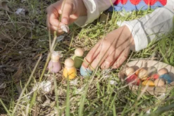 Grapat Baby Nins Houten Speelset 6-delig 18-180 13 Grapat Baby Nins Houten Speelset 6-delig 18-180 -Speelgoed Winkel image 2686