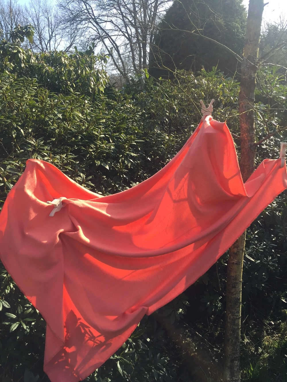 Speelbelovend Knijper Reuzenknijper Speelknijper 5 Speelbelovend Knijper Reuzenknijper Speelknijper - Afbeelding 5