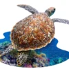 Madd Capp Puzzel Zee Schildpad I AM Lil' Sea Turtle Poster Size 100pcs